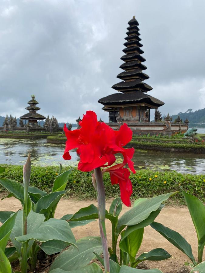 Wina Ubud B&B Bagian luar foto